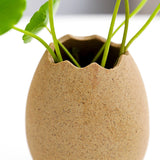 Creative Egg Shell Ceramic Vase