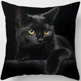 Black Cat Sofa Pillow Cover