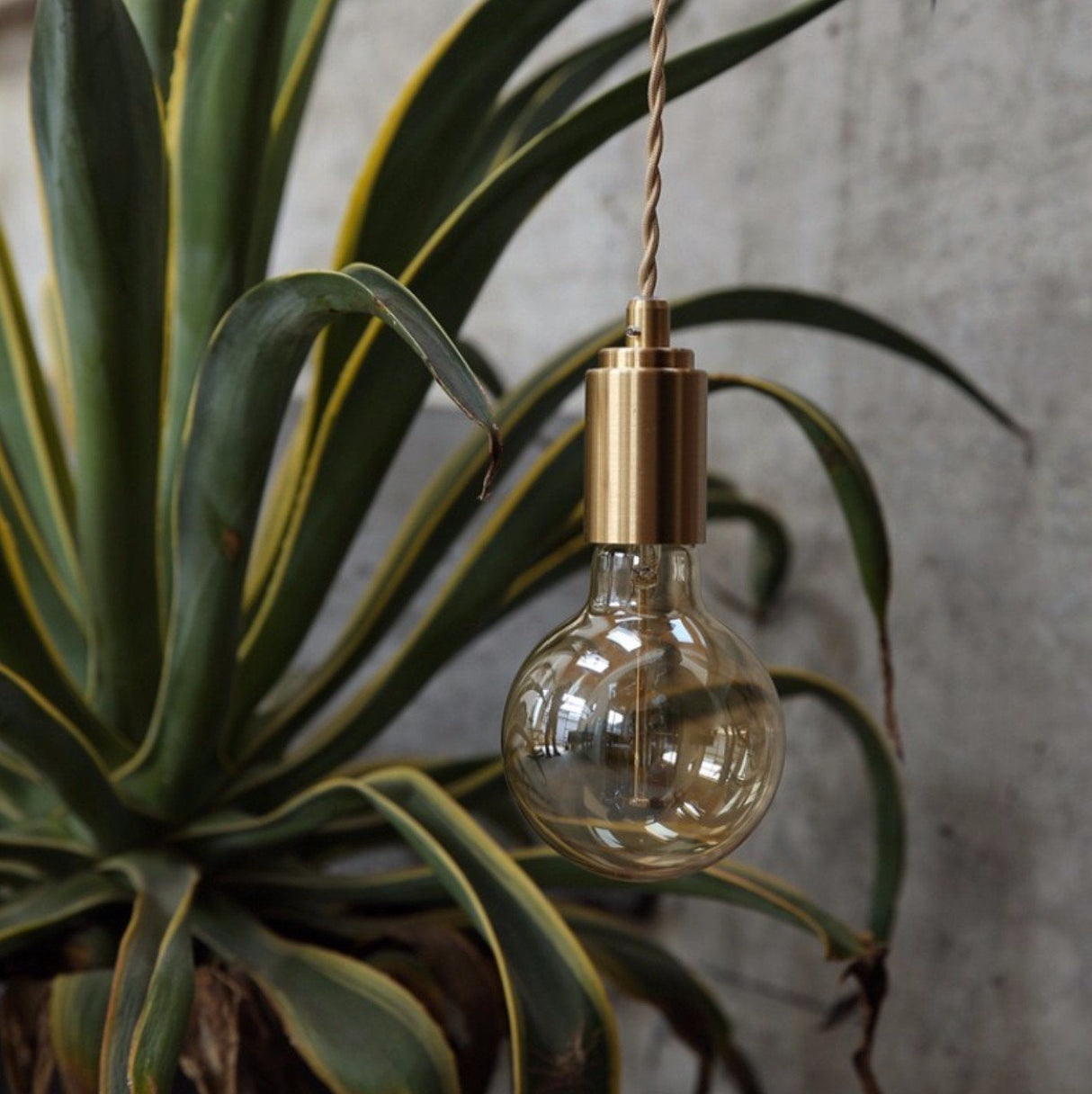 Mono Brass Gold Pendant Light