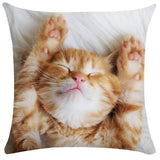 Lovely Cat Sofa Pillow Case