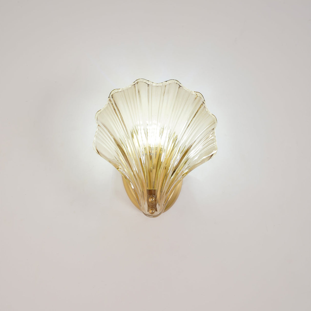 Shell Wall Light