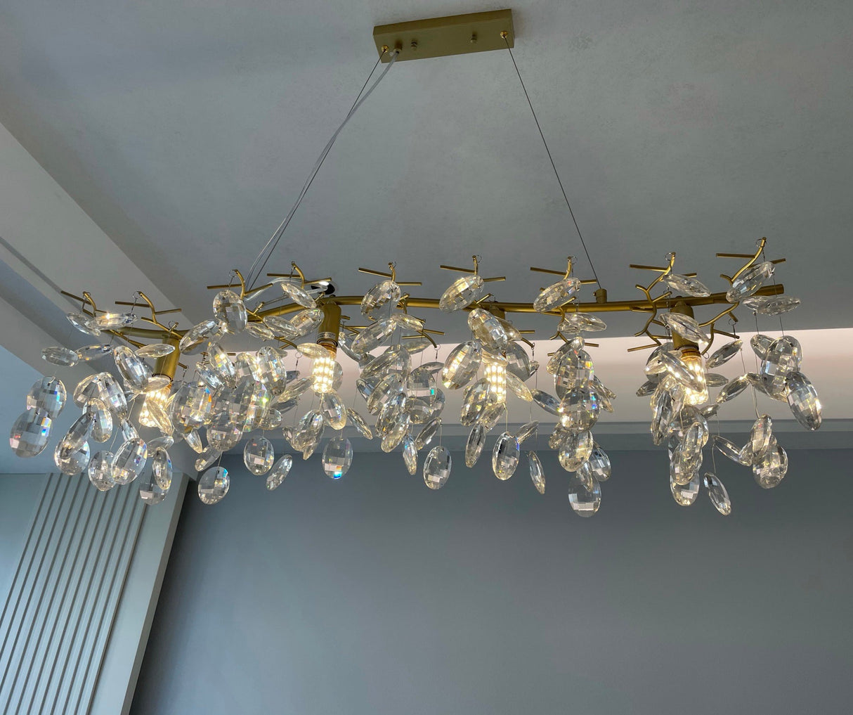 Sofia Chandeliers