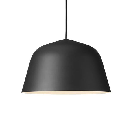 Ambit pendant light