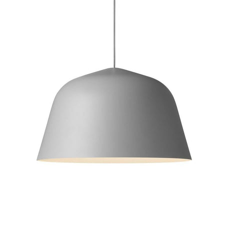 Ambit pendant light