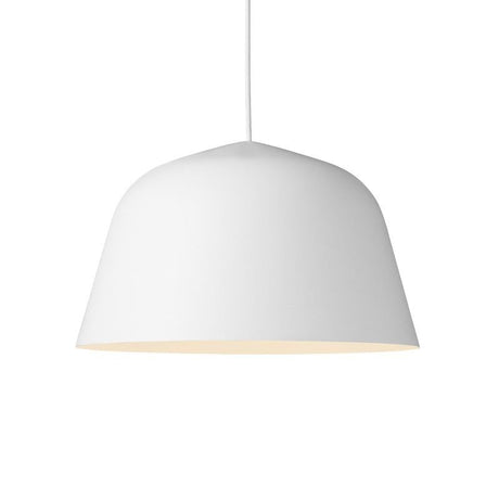 Ambit pendant light