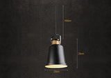 Newman Black Dome Industrial Loft Pendant Light