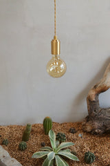 Mono Brass Gold Pendant Light