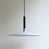 Aplomb Large LED pendant lamp