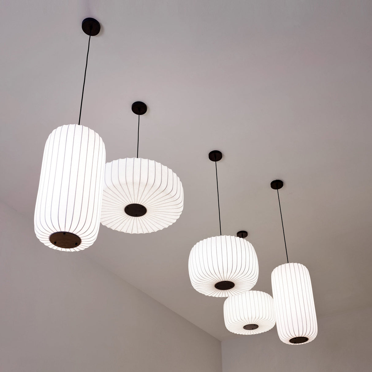 ToTeM Pendant Light