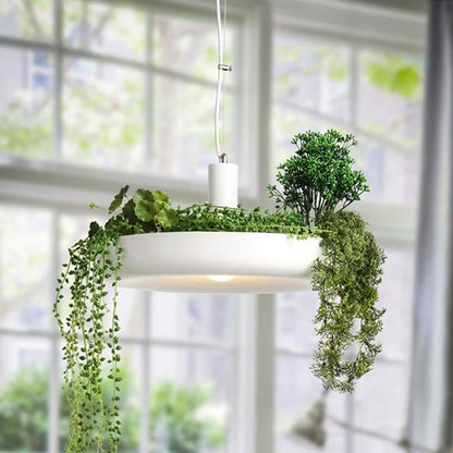 Hanging Garden Plant Pendant Light