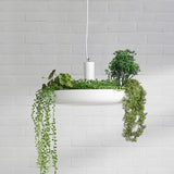 Hanging Garden Plant Pendant Light