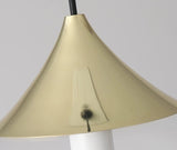 Frosted Glass Pendant Light