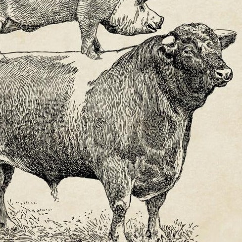 Franklin Canvas Farm Prints