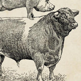 Franklin Canvas Farm Prints