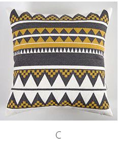 Ian Geometric Pillow Covers