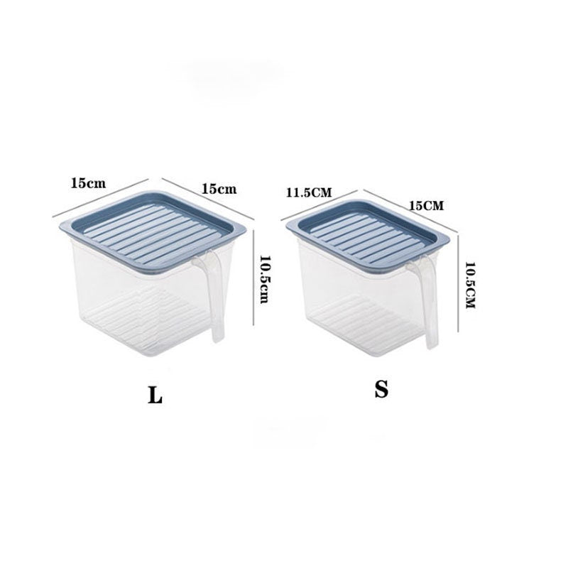 Pastel Transparent Food Storage Box