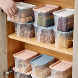 Pastel Transparent Food Storage Box