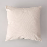 Izzy Abstract Pillow Covers