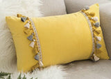 Joyful Tassel Pillow Covers