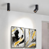 led downlight fixtures