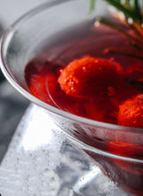 Midas Mixology Cocktail Glass