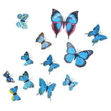 3D Butterfly Wall Decals