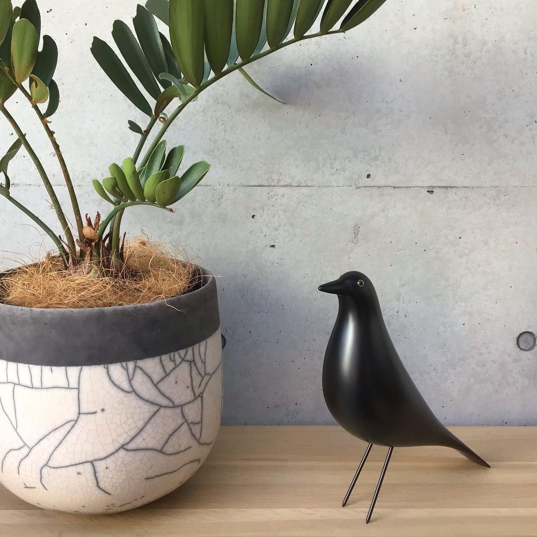 Eames House Bird
