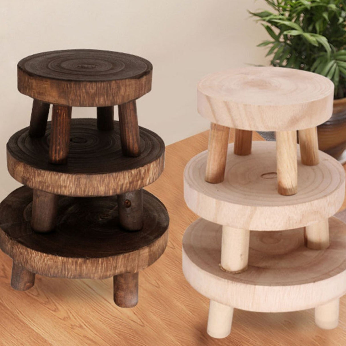 Petra Wood Plant Stands