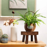 Petra Wood Plant Stands