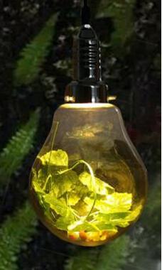 Dax - Garden Globe Pendant Light