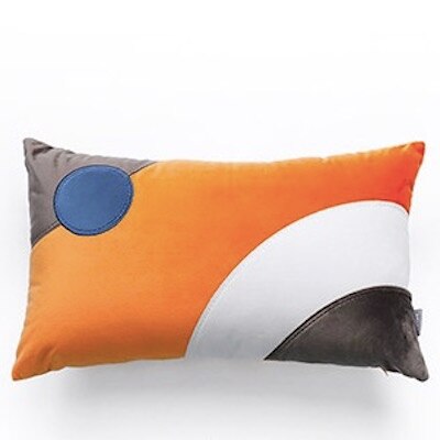 Bullseye Abstract Pillow Covers