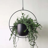 The Lyra Hanging Plant Pot Collection