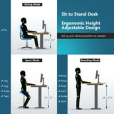 Costway Electric Standing Desk Sit to Stand Height Adjustable Dual Motor Grey HW67380US-GR+HW68157WH-M