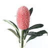 The Banksia Faux Floral Stem