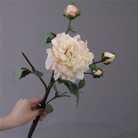 The Luxe Overbloomed Peony Stem