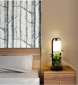 Augustus - Frame Planter LED Desk Lamp