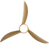 Indoor Ceiling Fan Light