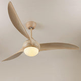 Indoor Ceiling Fan Light