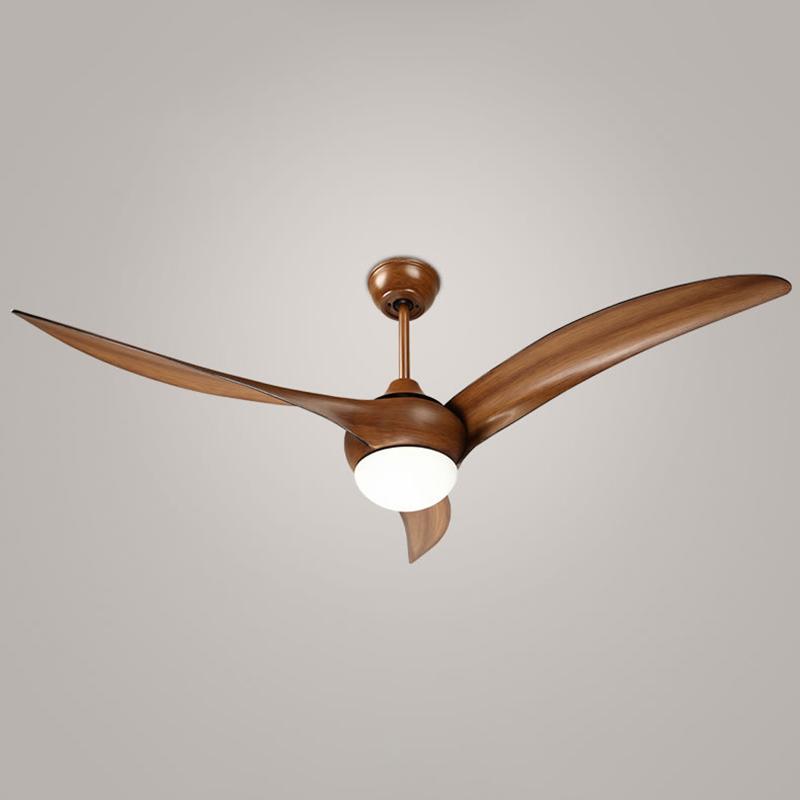 Indoor Ceiling Fan Light