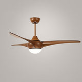 Indoor Ceiling Fan Light