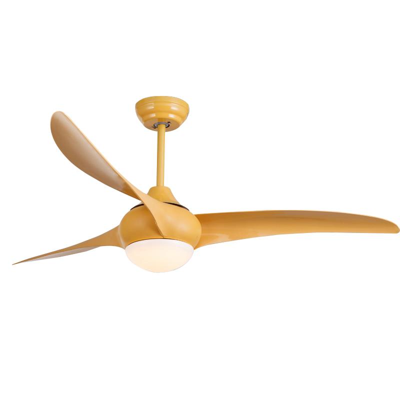 Indoor Ceiling Fan Light