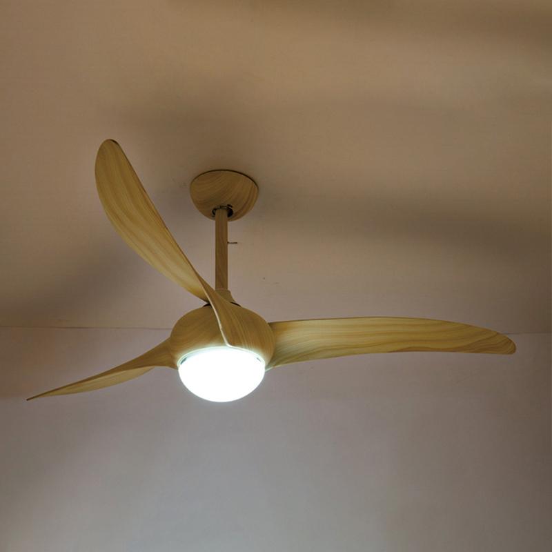 Indoor Ceiling Fan Light