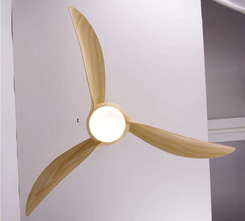 Indoor Ceiling Fan Light