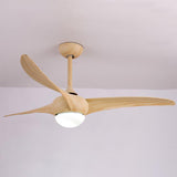 Indoor Ceiling Fan Light