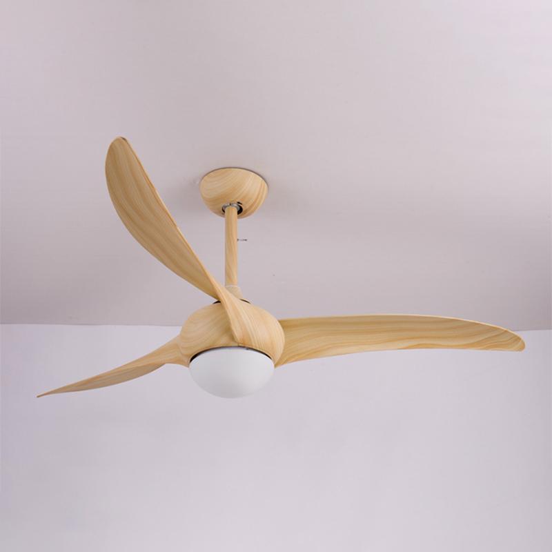 Indoor Ceiling Fan Light