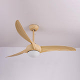 Indoor Ceiling Fan Light