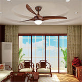 Indoor Ceiling Fan Light