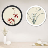 Rollo Circular Frames