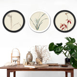 Rollo Circular Frames