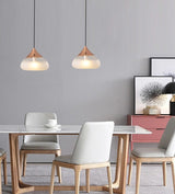 Frosted Glass Pendant Light